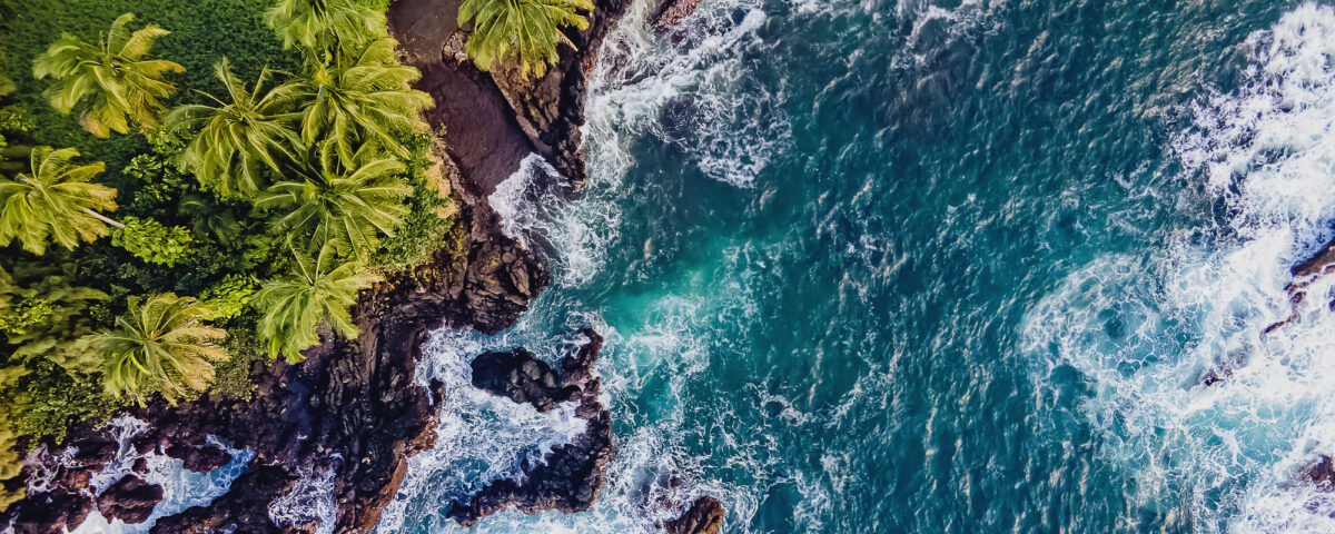 Aerial view of rocky coast with palms and blue ocean with waves, Maui island, Hawaii